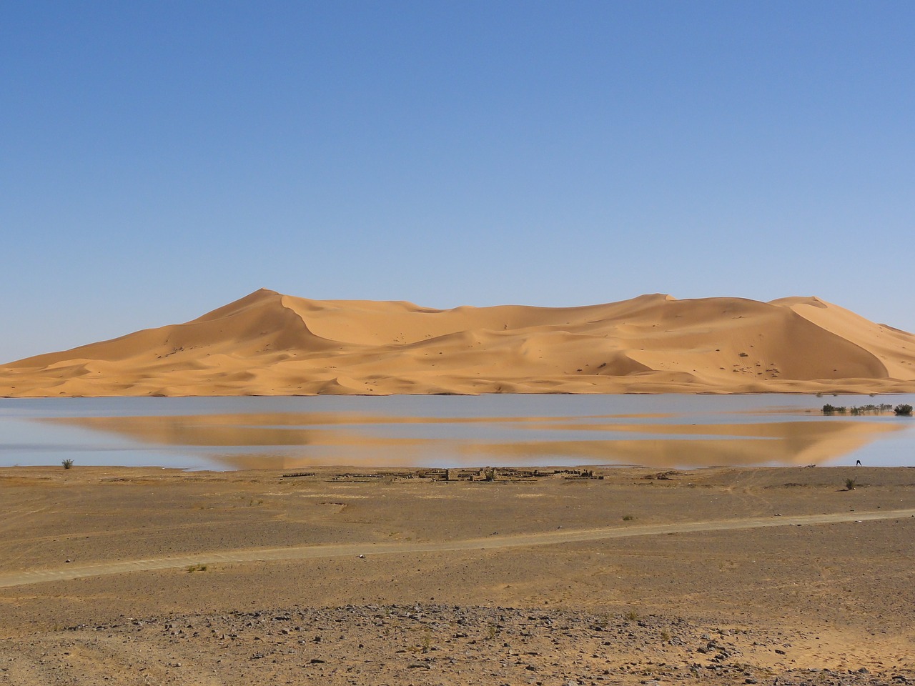 Image - desert lake sahara wet dry water