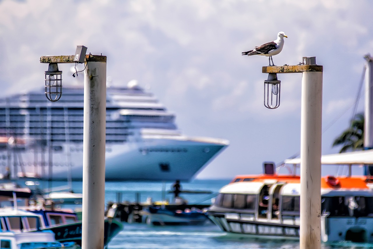 Image - ship bird boat pier water sky