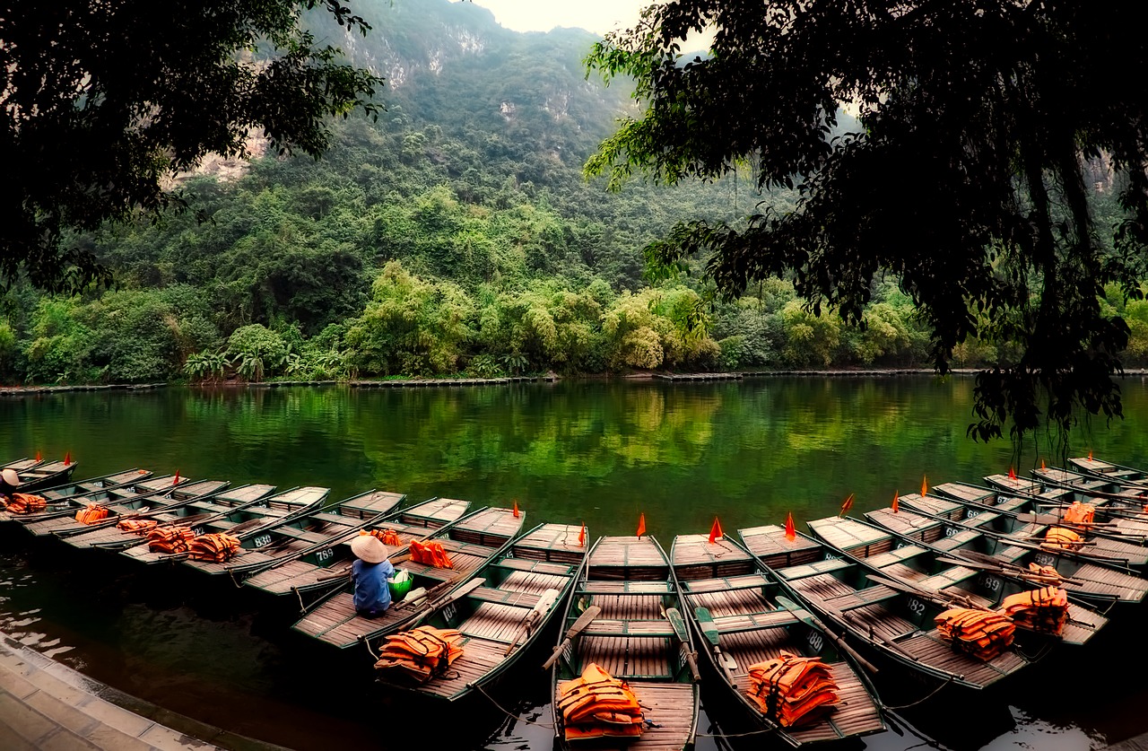 Image - vietnam boats life jackets forest