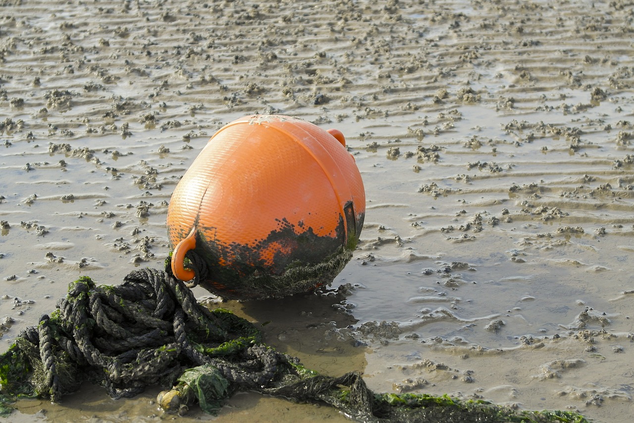 Image - boje watts mud beach ebb