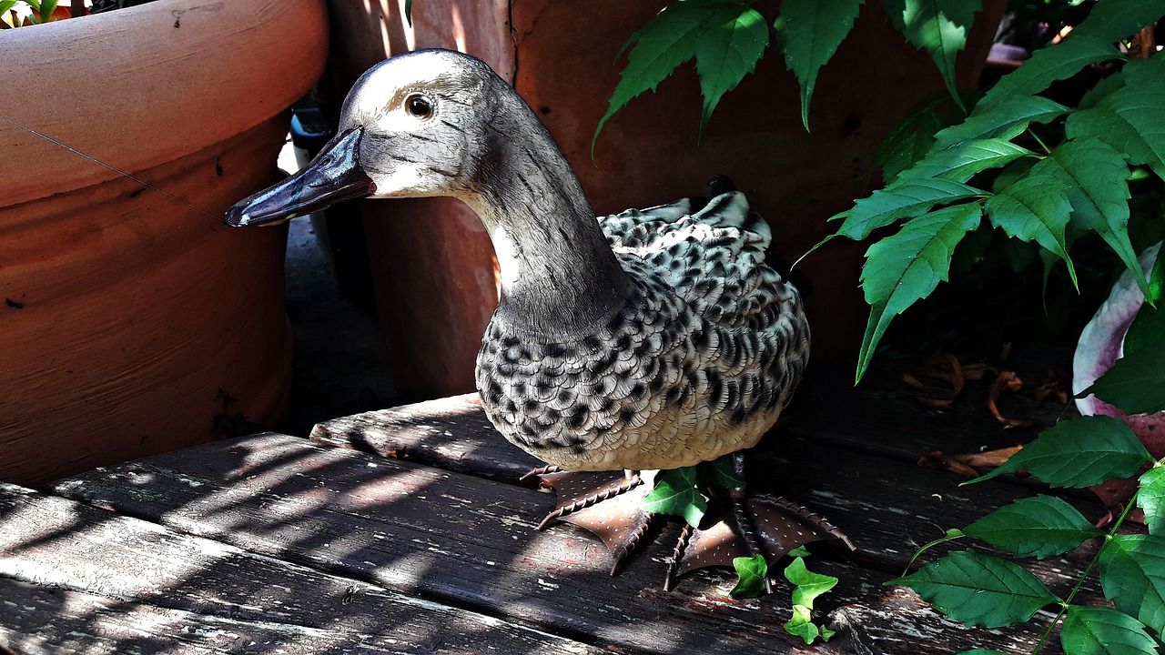 Image - duck imitation ornament garden