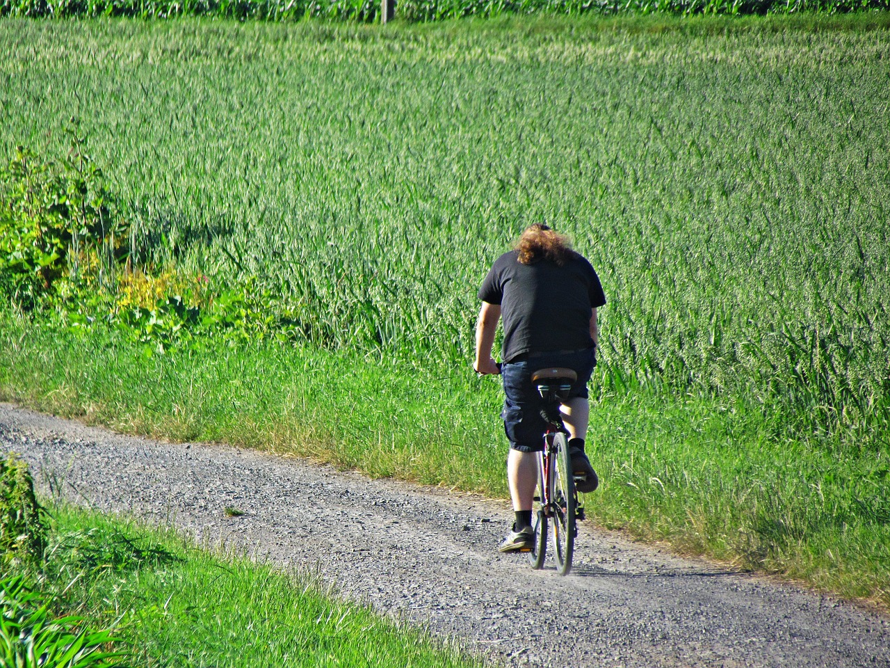 Image - bike male field horse sport