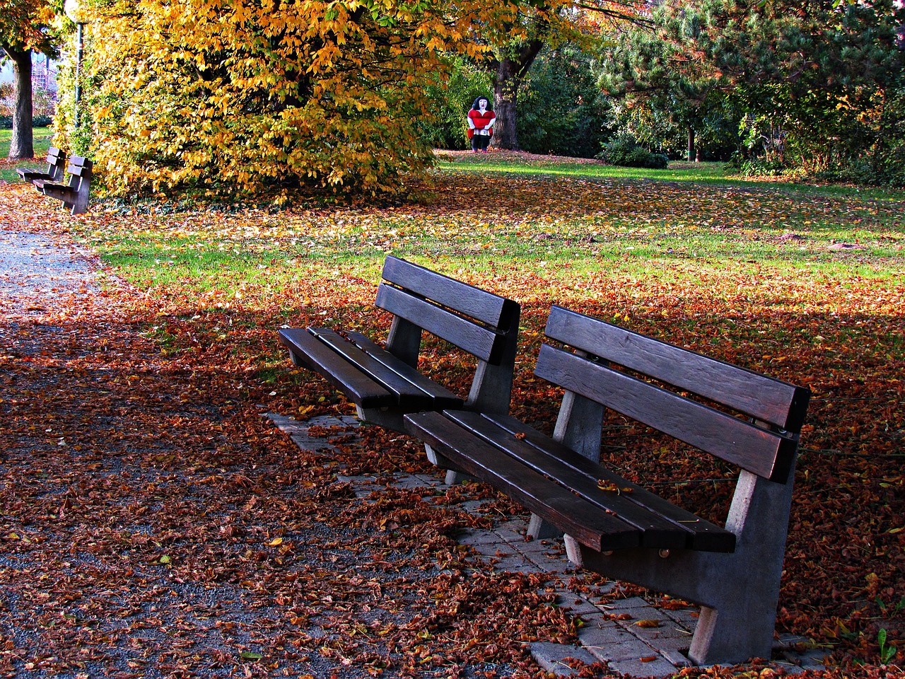 Image - bench park foliage spacer rest