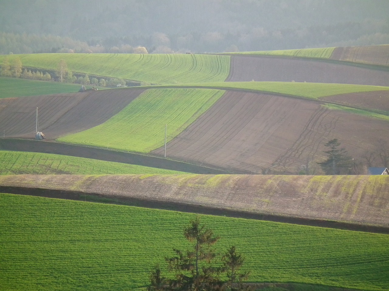 Image - spring may hokkaido hills field