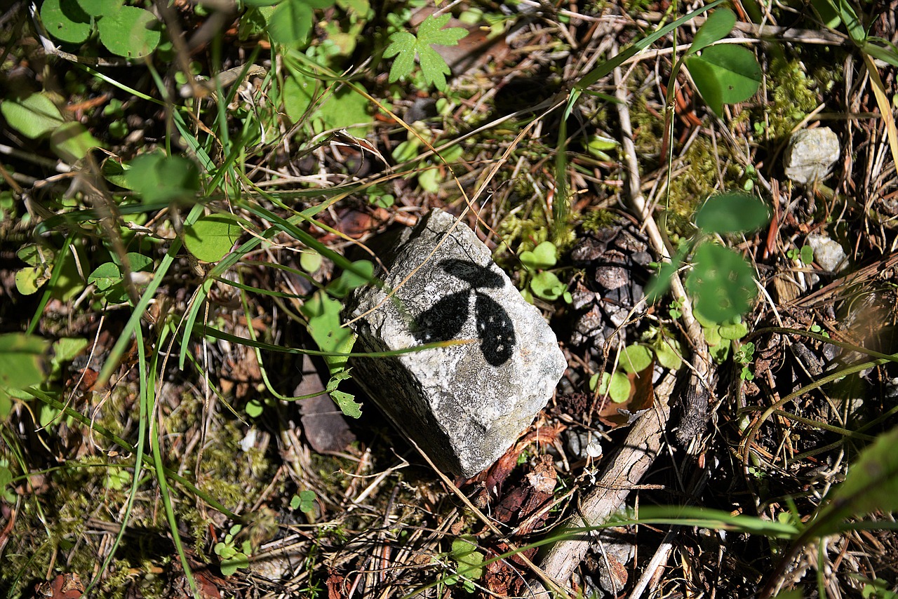 Image - stone shadow hispanic nature