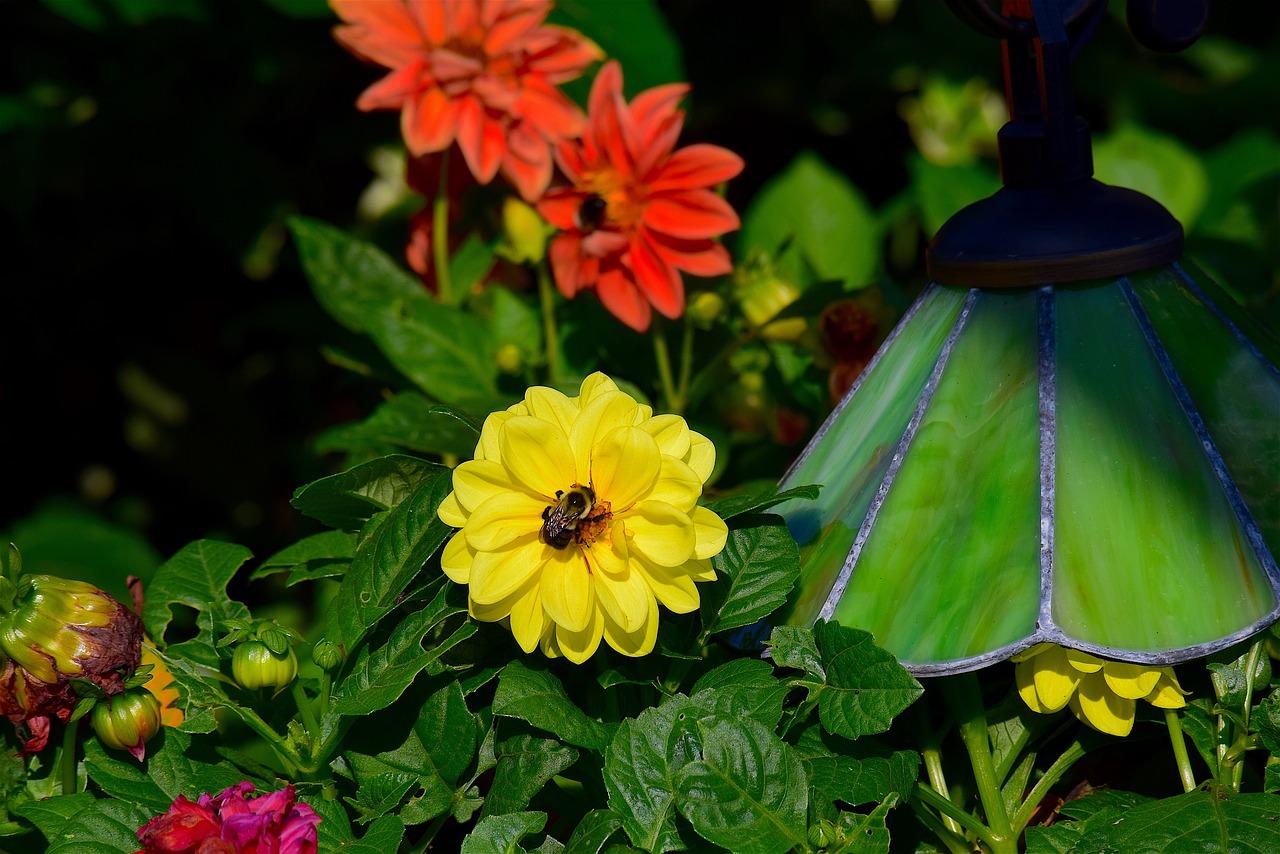 Image - flower yellow bright shadow garden