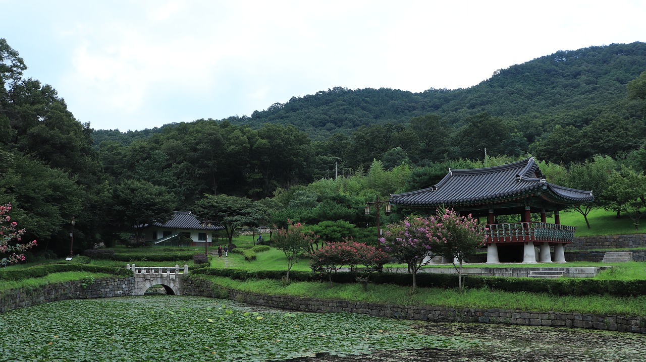 Image - pond water tree trees mountain