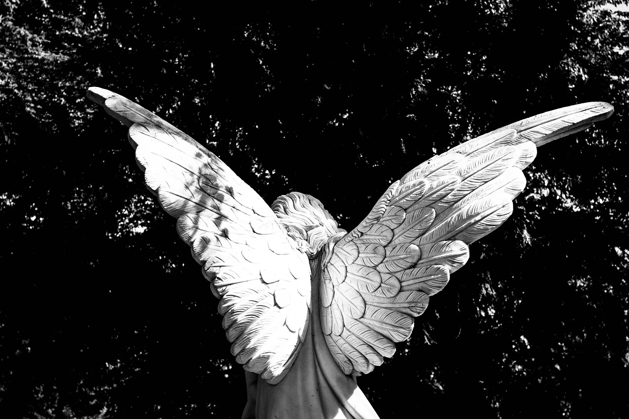 Image - angel wing angel wings god