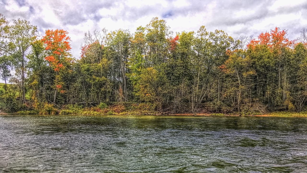 Image - scenery trees water artistic