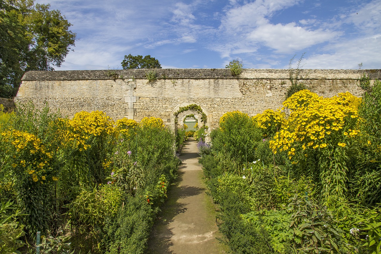 Image - the castle of canon garden
