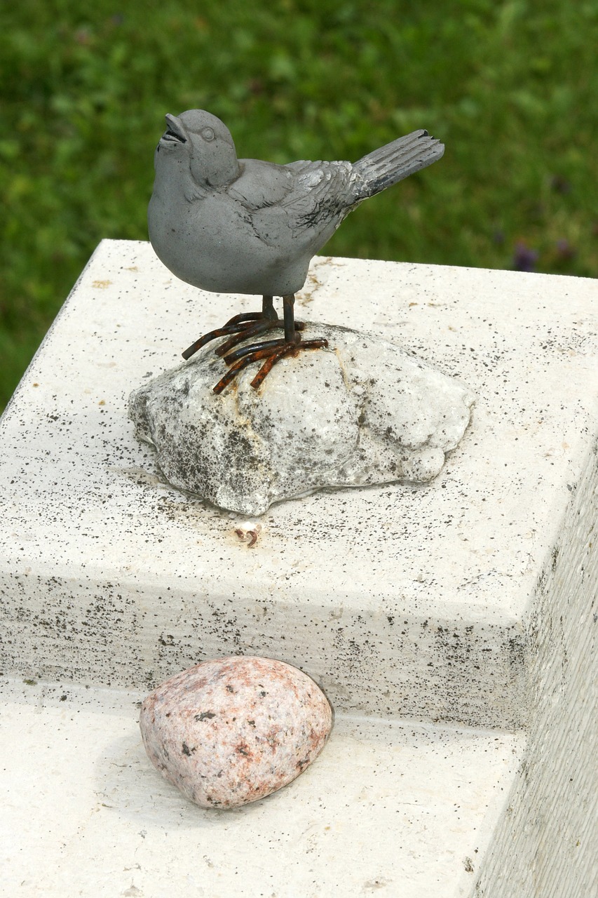 Image - bird harmony cemetery wing sweet