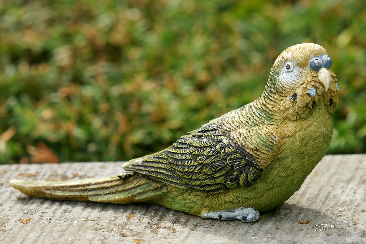 Image - bird harmony cemetery wing sweet