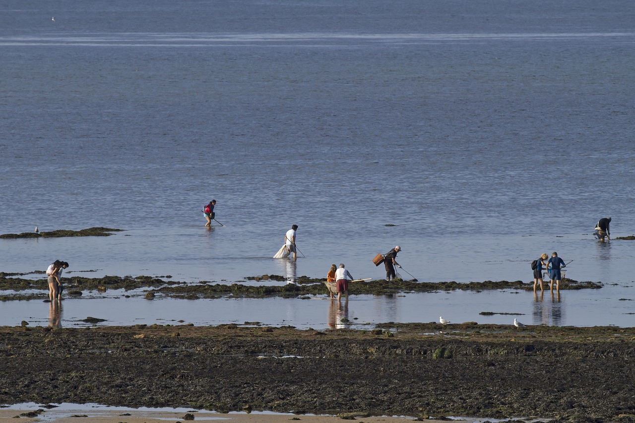 Image - shell fischer saint aubin sur mer