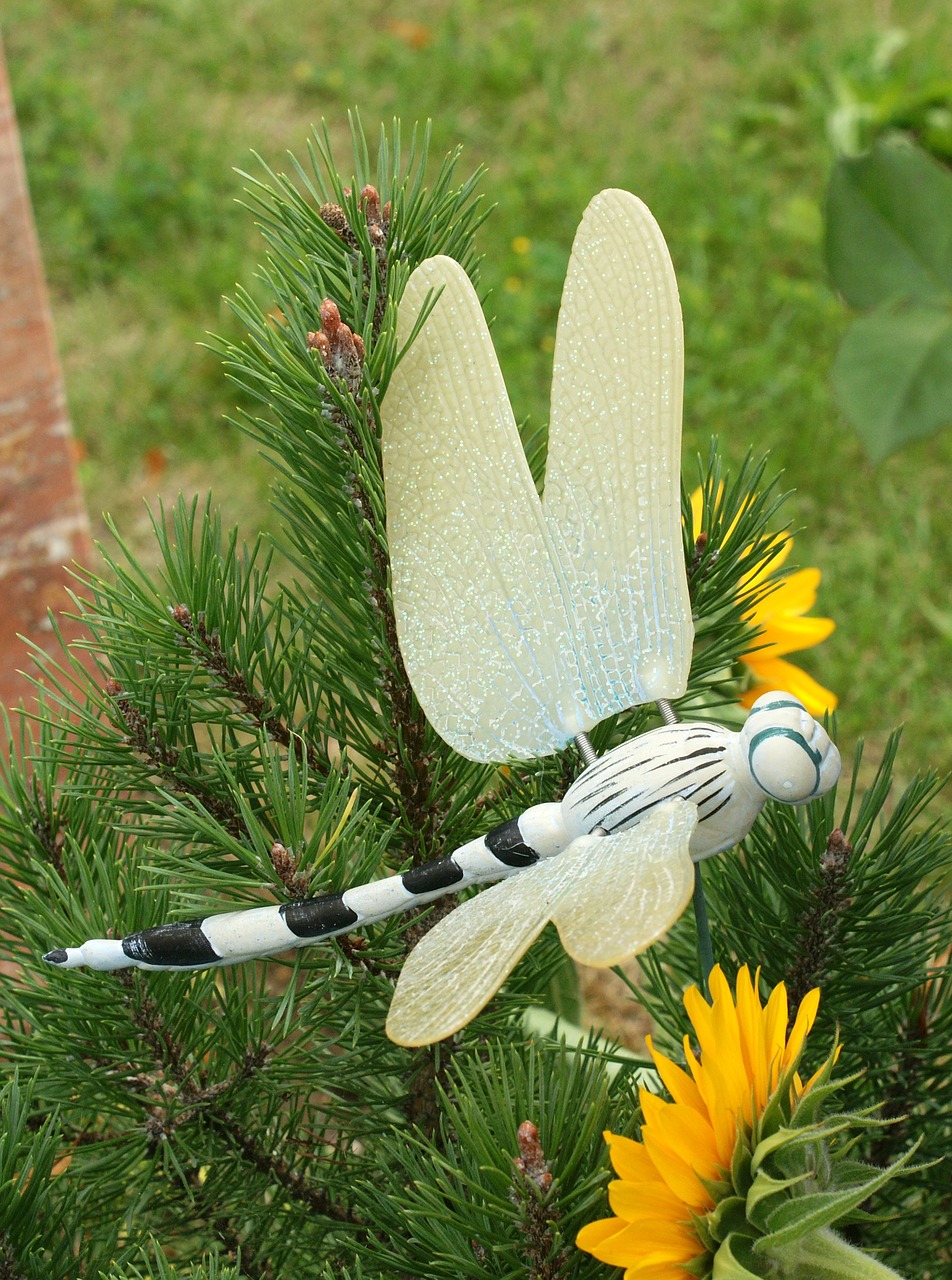 Image - dragonfly contemplative cemetery