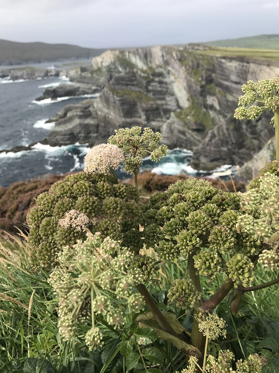 Image - ireland cliffs sea nature rock