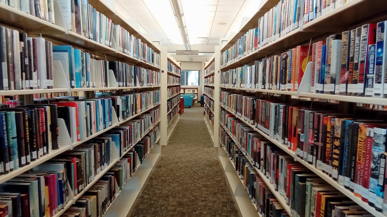 Image - library books shelves bookshelf