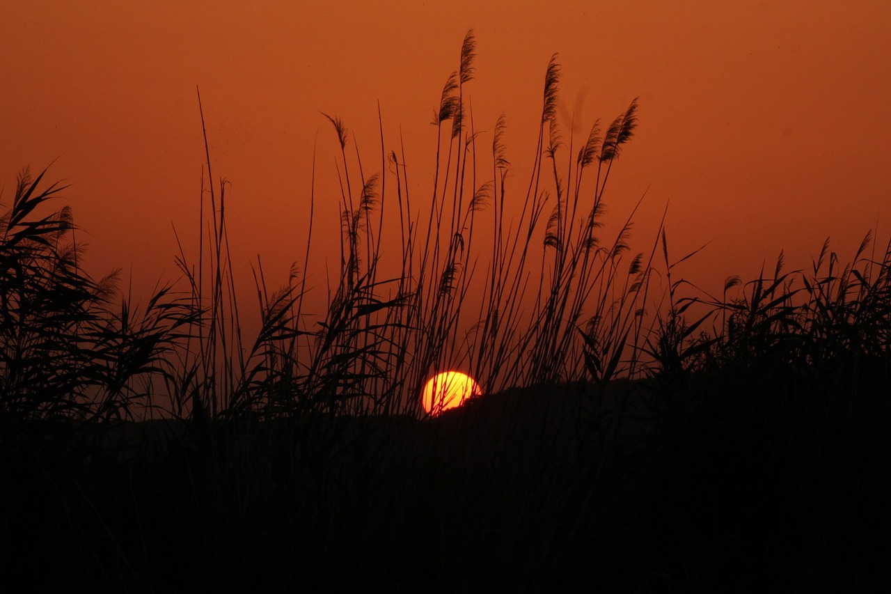 Image - sunrise lake balaton lakeside