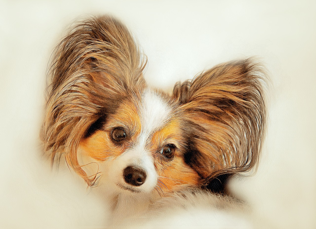Image - the dog is a purebred puppy portrait