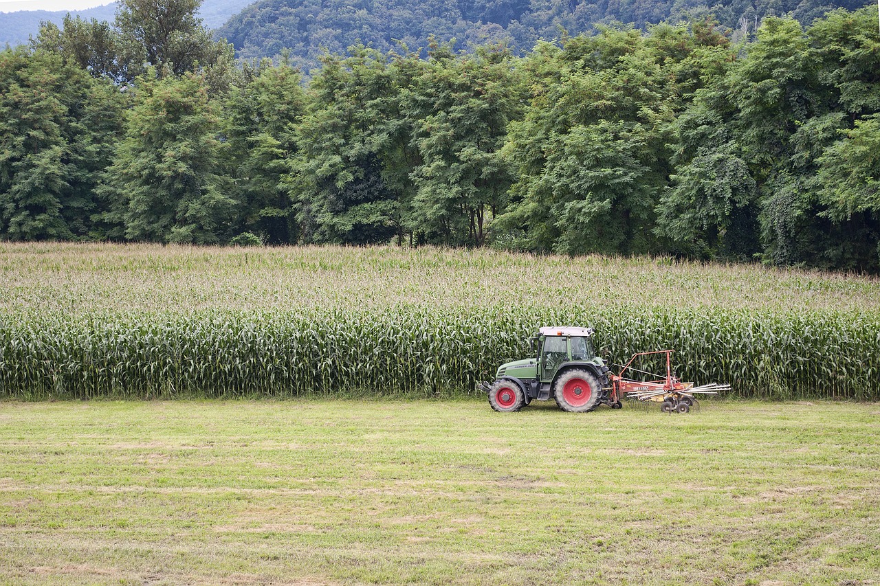 Image - agriculture tractor corn processing