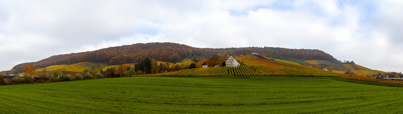 Image - herbstlandschaft vineyards nature