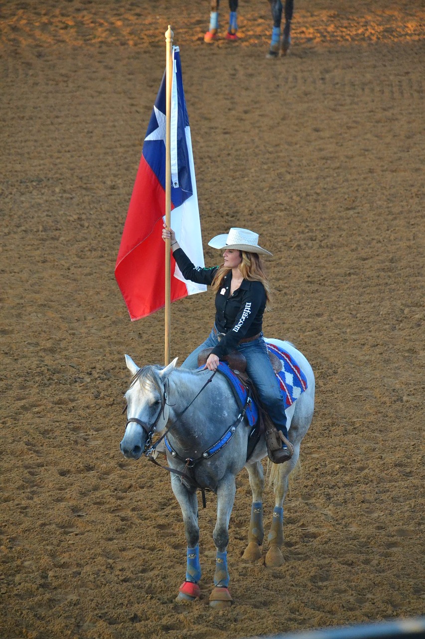 Image - texas state flag horse cowgirl