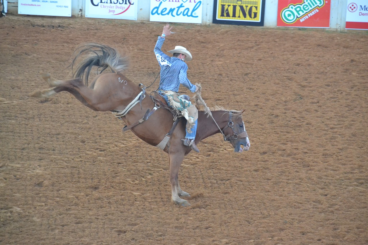 Image - rodeo cowboy horse riding american