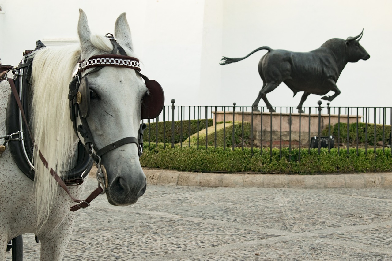 Image - horse toro round malaga andalusia