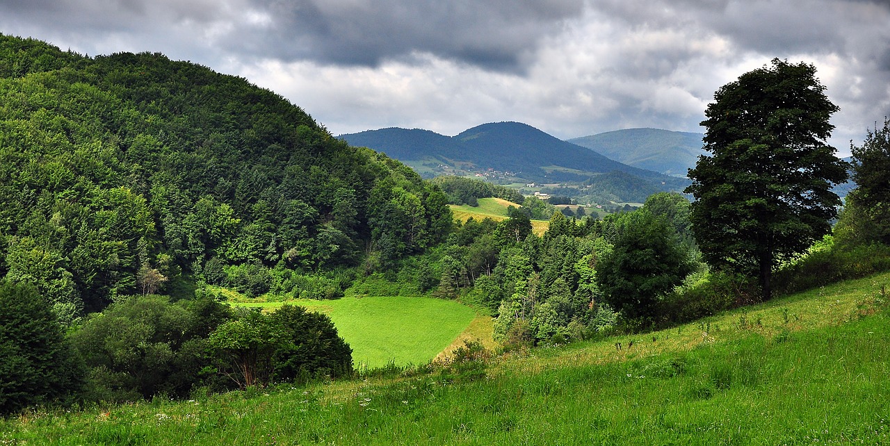 Image - landscape field meadow clouds view