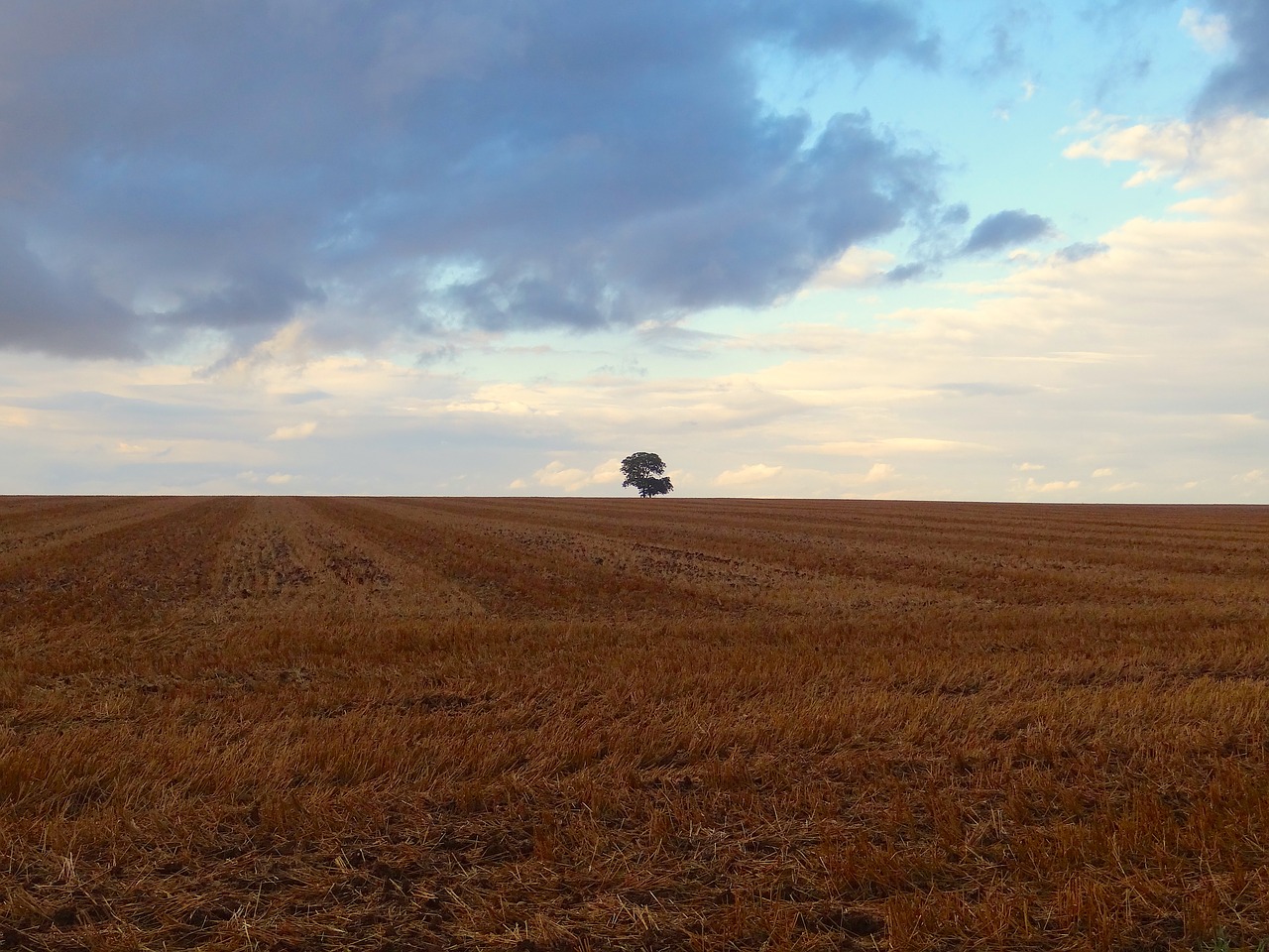 Image - ferragosto nature campaign