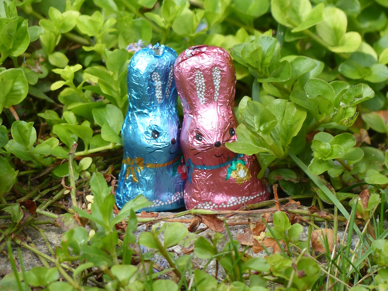 Image - rabbit easter spring couple pink