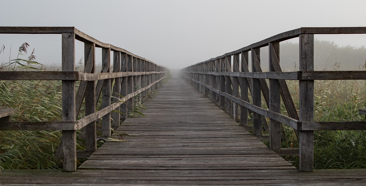 Image - web boardwalk reed moorland target