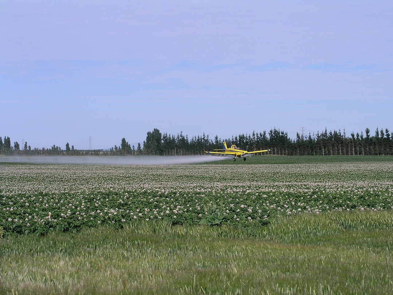 Image - agriculture spray plane farm