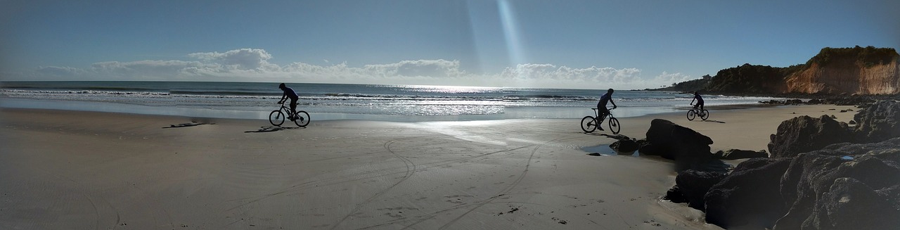 Image - cycling bicycles bike cycle summer