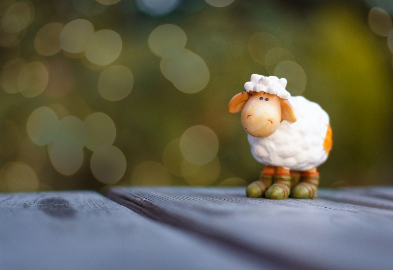 Image - sheep toys figure bokeh