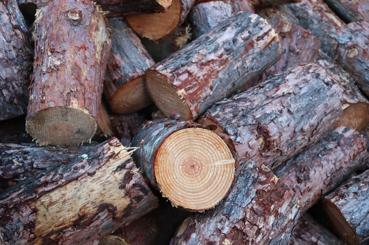 Image - wood firewood growing stock like