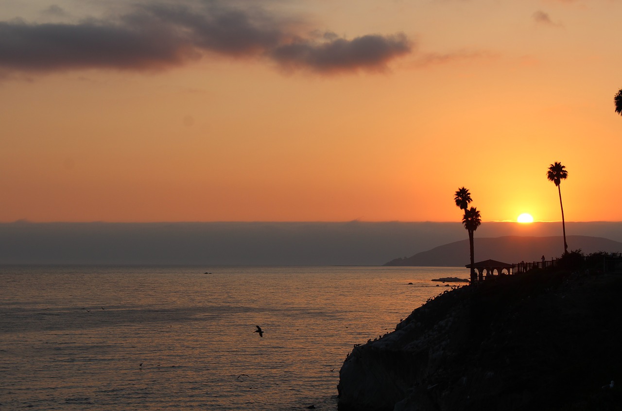Image - sunset california ca palm trees