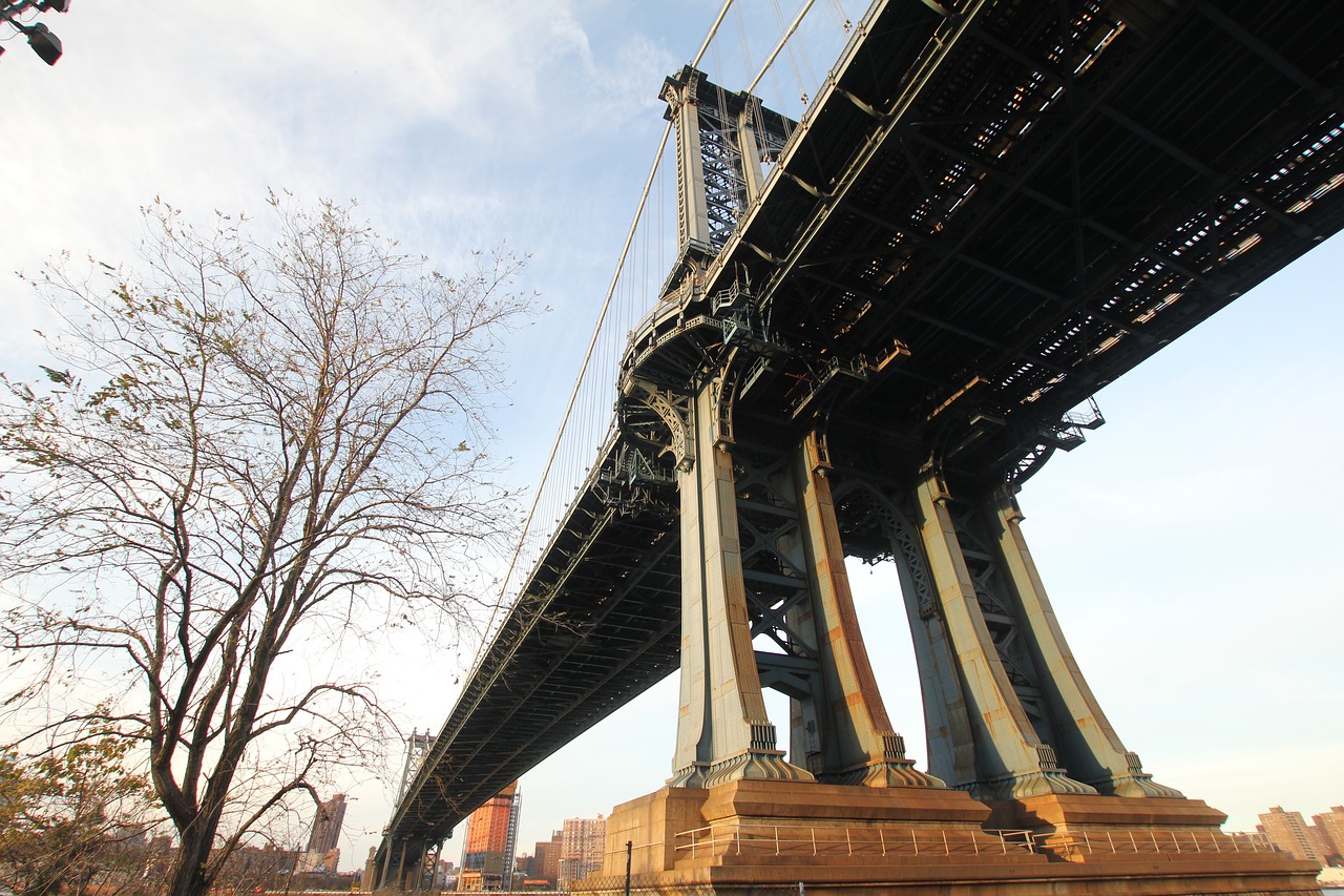 Image - bridge tree cable bridge