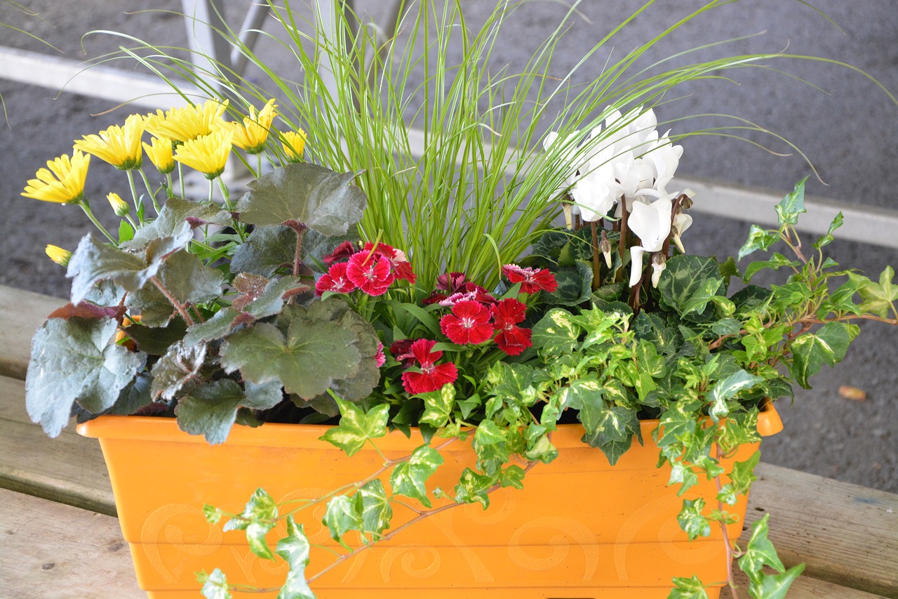 Image - flowers plant pot jardiniere