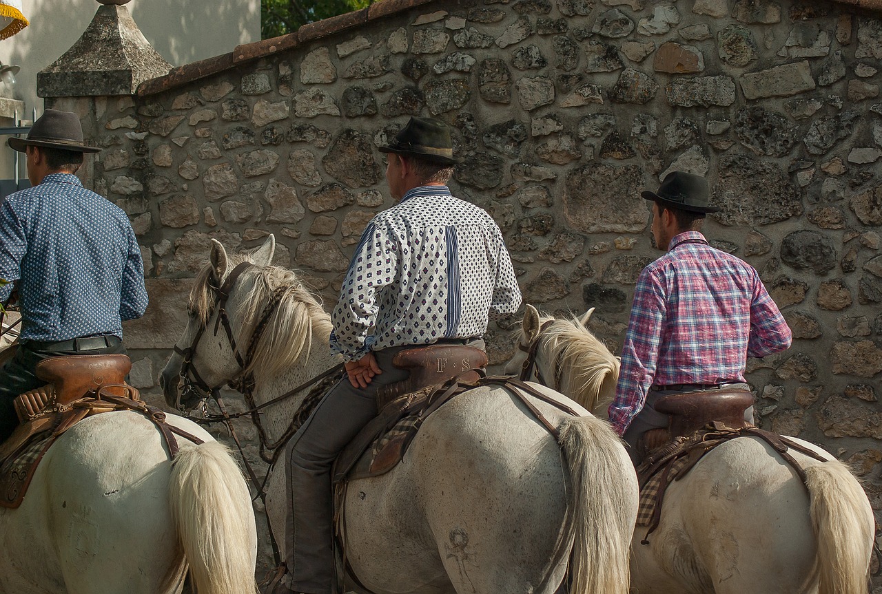 Image - camargue gardians horses riders