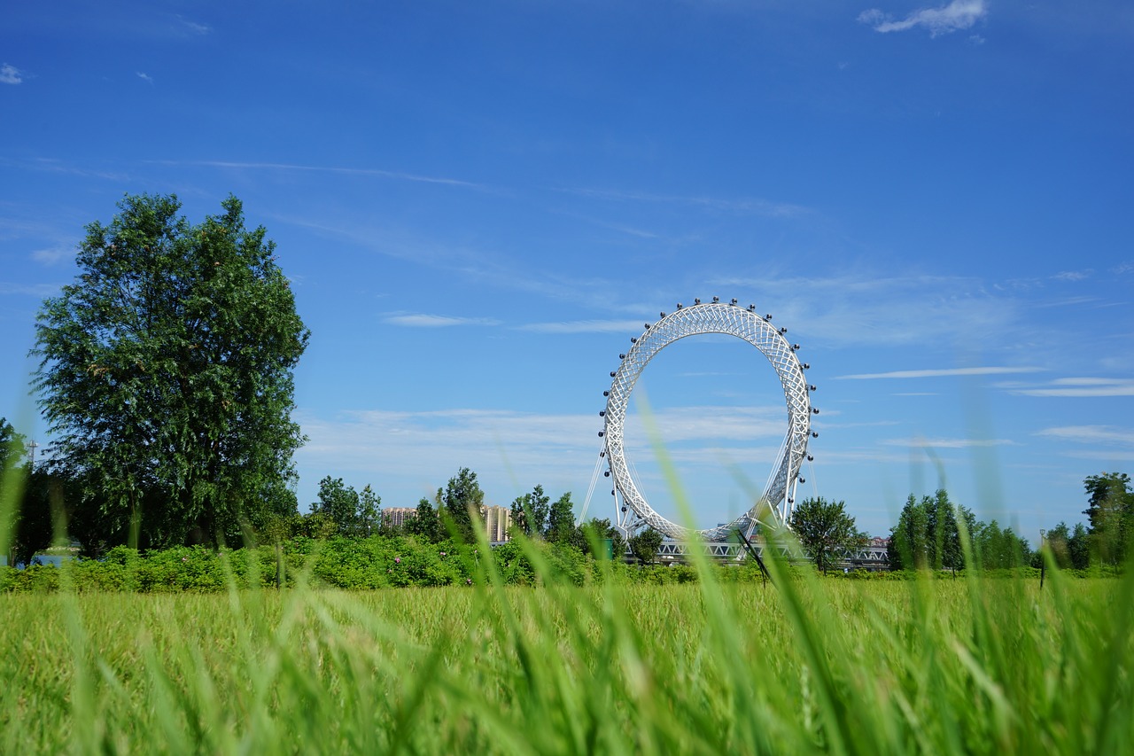 Image - the ferris wheel weifang vision