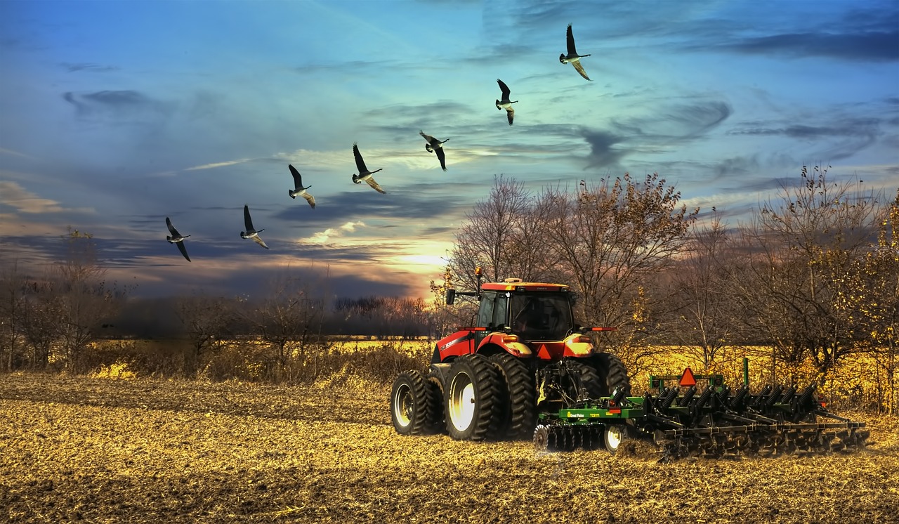 Image - scenery sunset tractor birds trees