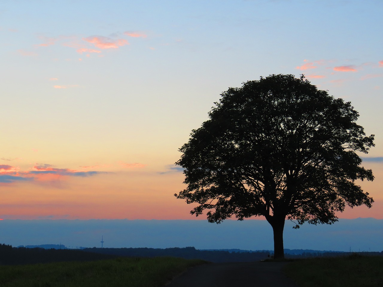 Image - sunset tree of life afterglow