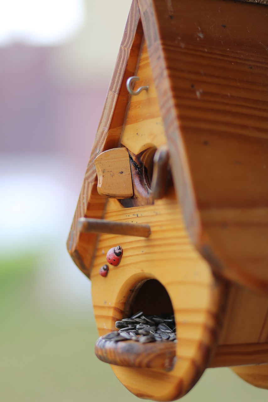 Image - nest feed the birds melon seeds