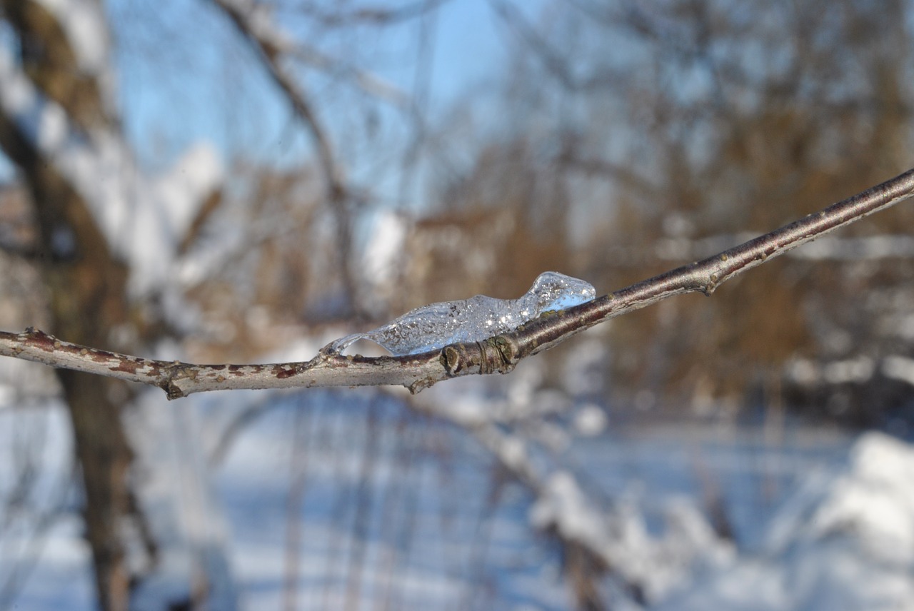 Image - ice frost figures