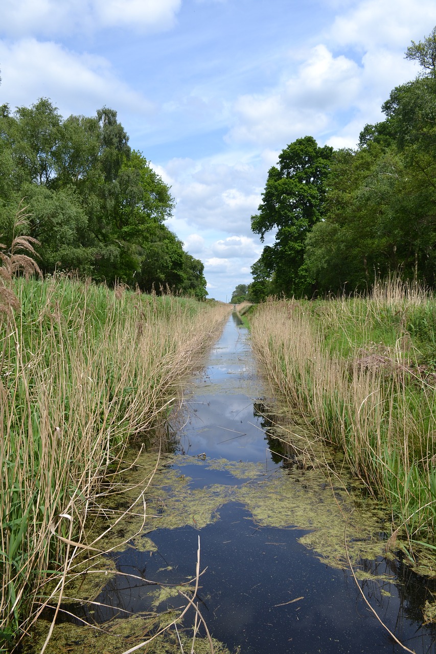 Image - holme fen fen drain fenland drain