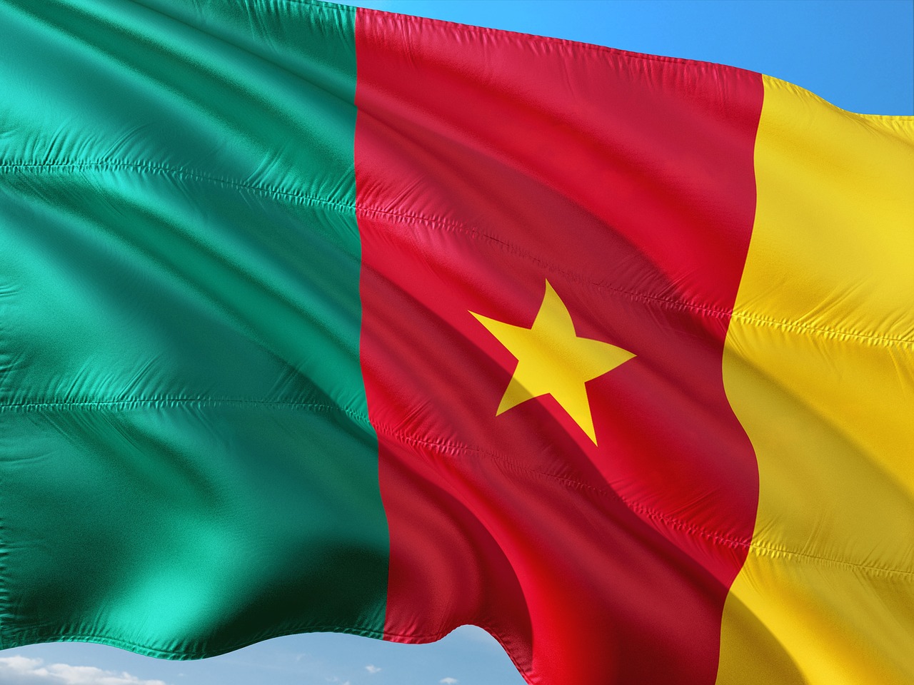 Image - international flag cameroon