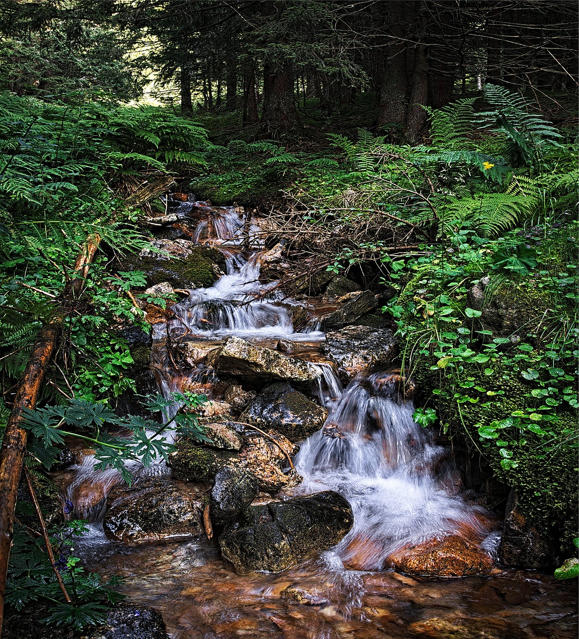 Image - stream tatry water the stones