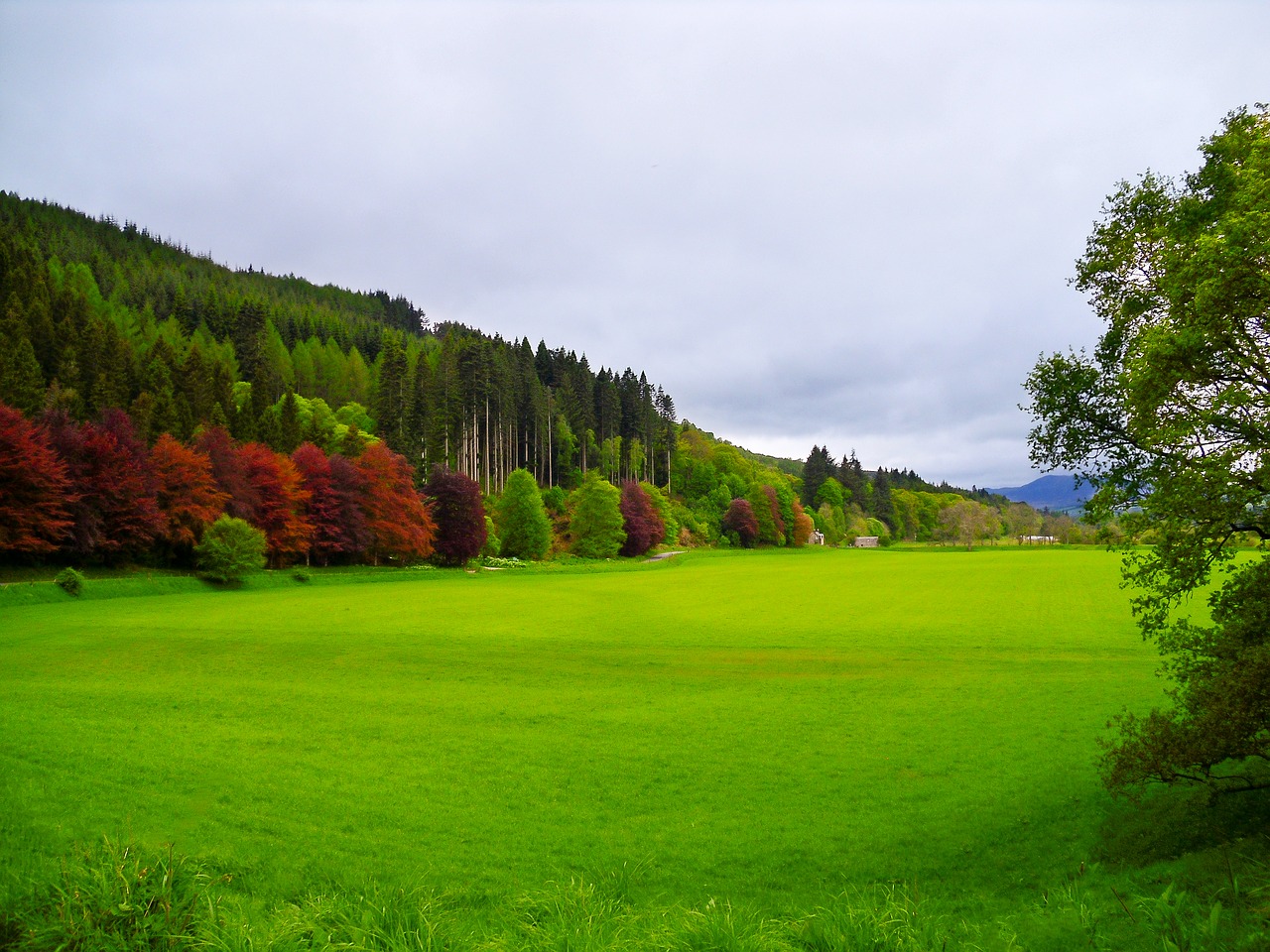 Image - farm field dunkeld scotland