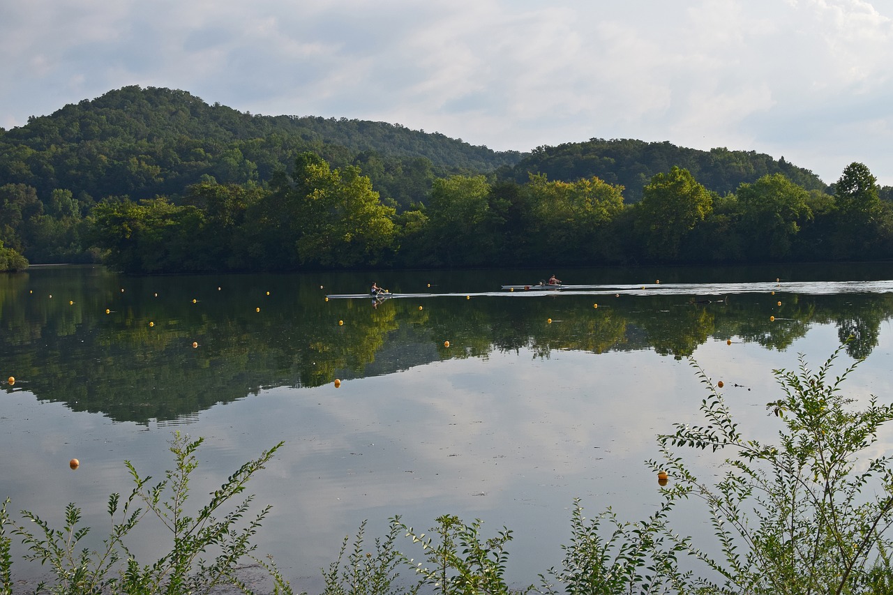 Image - scull rowers scull rowing rowing