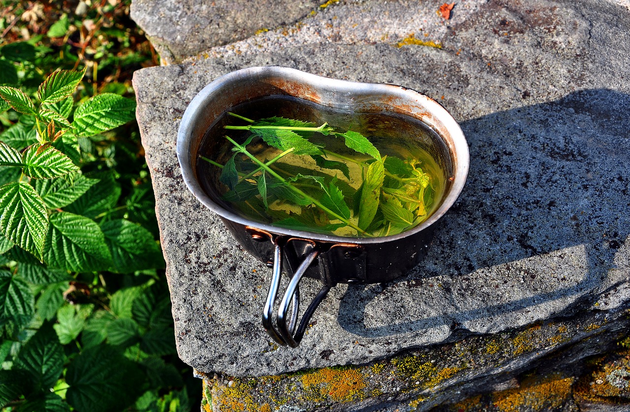 Image - mint tea dish the drink drinking